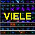 A VIELE